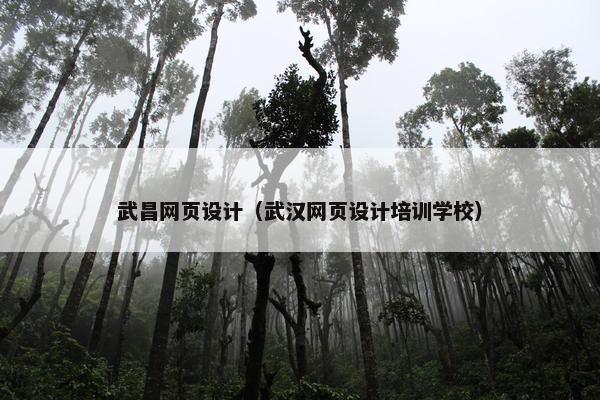 武昌网页设计（武汉网页设计培训学校）