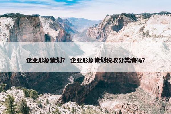 企业形象策划？ 企业形象策划税收分类编码？