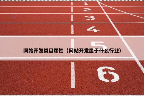 网站开发类目属性（网站开发属于什么行业）