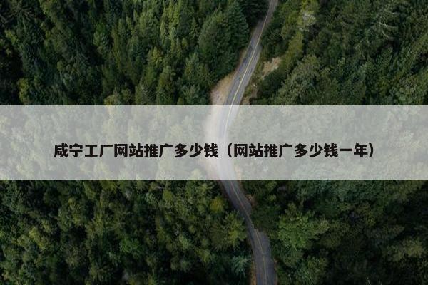 咸宁工厂网站推广多少钱（网站推广多少钱一年）