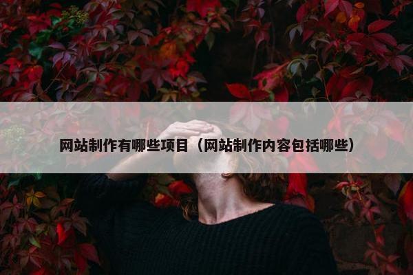 网站制作有哪些项目（网站制作内容包括哪些）