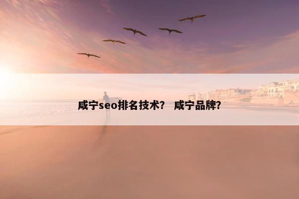 咸宁seo排名技术？ 咸宁品牌？