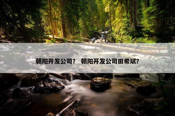 朝阳开发公司？ 朝阳开发公司田希斌？