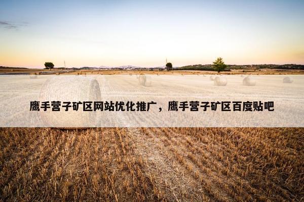 鹰手营子矿区网站优化推广，鹰手营子矿区百度贴吧