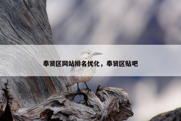 奉贤区网站排名优化，奉贤区贴吧