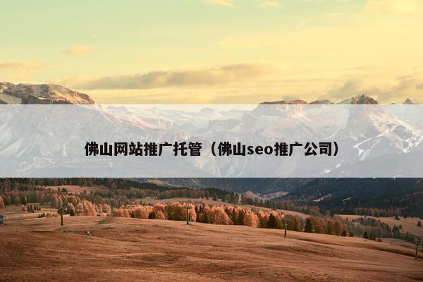 佛山网站推广托管（佛山seo推广公司）