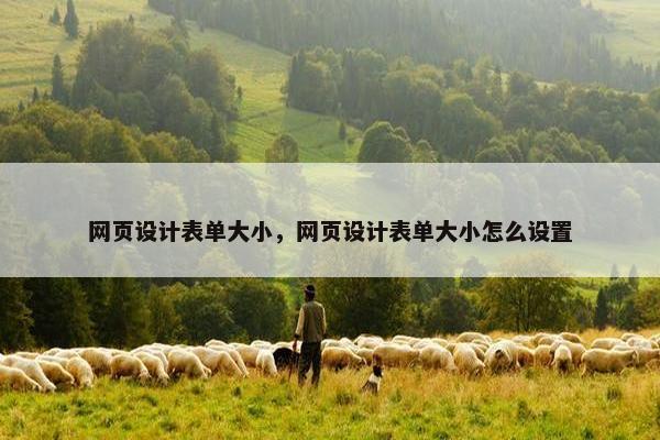 网页设计表单大小，网页设计表单大小怎么设置