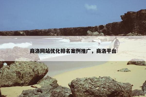 商洛网站优化排名案例推广，商洛平台