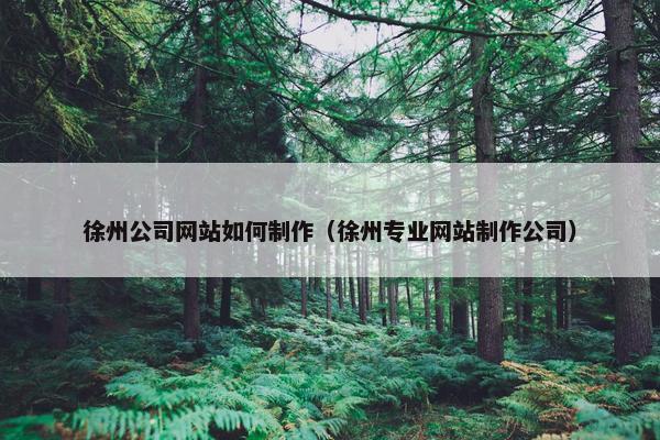 徐州公司网站如何制作（徐州专业网站制作公司）