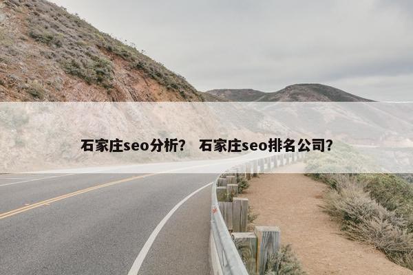 石家庄seo分析？ 石家庄seo排名公司？