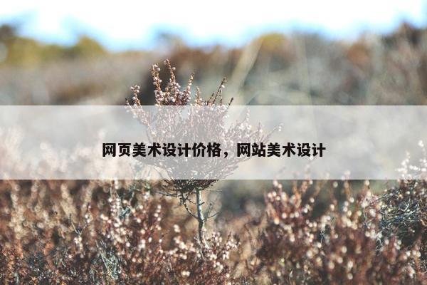 网页美术设计价格，网站美术设计