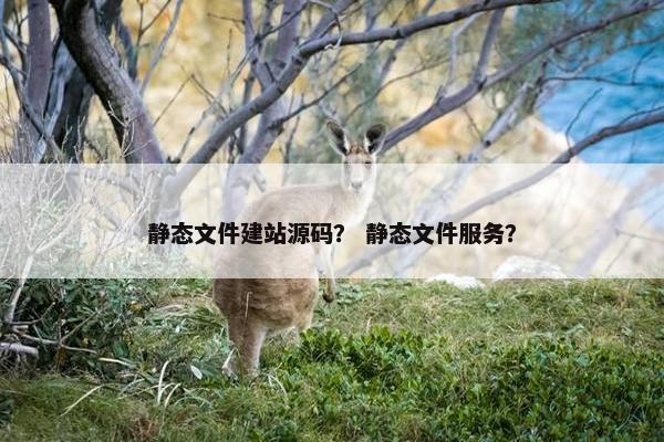 静态文件建站源码？ 静态文件服务？