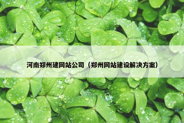 河南郑州建网站公司（郑州网站建设解决方案）
