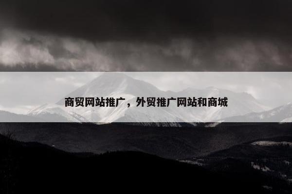 商贸网站推广，外贸推广网站和商城