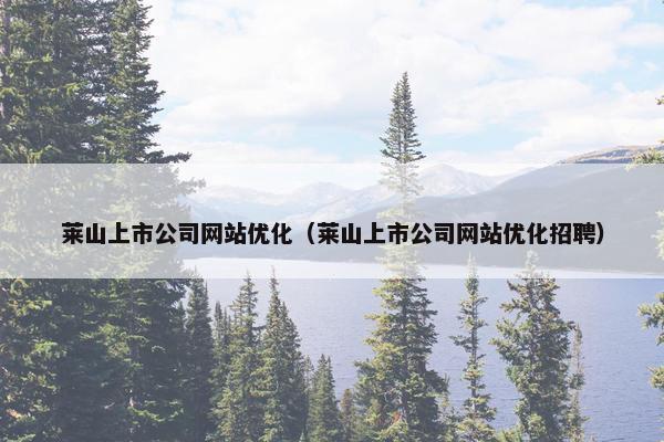 莱山上市公司网站优化（莱山上市公司网站优化招聘）
