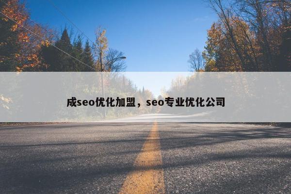 成seo优化加盟，seo专业优化公司