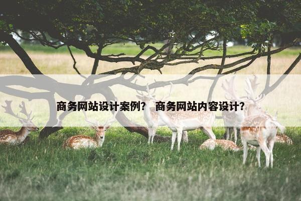 商务网站设计案例？ 商务网站内容设计？