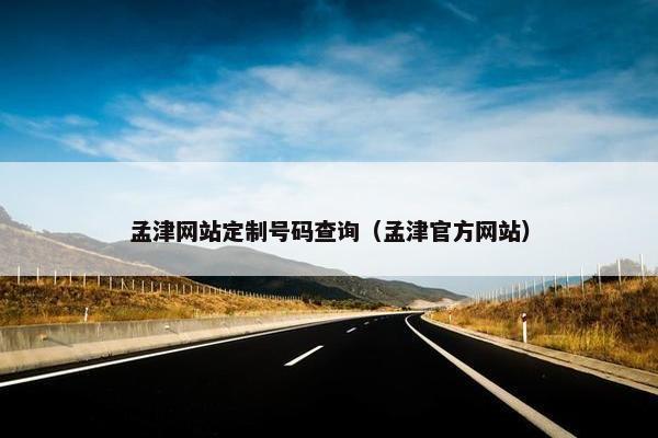 孟津网站定制号码查询（孟津官方网站）