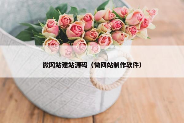 微网站建站源码（微网站制作软件）