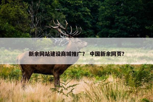 新余网站建设商城推广？ 中国新余网页？