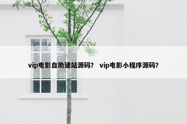 vip电影自助建站源码？ vip电影小程序源码？