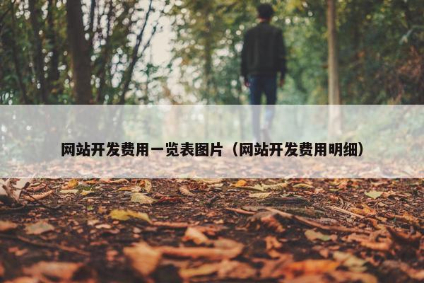 网站开发费用一览表图片（网站开发费用明细）