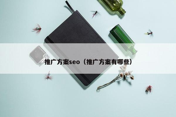 推广方案seo（推广方案有哪些）