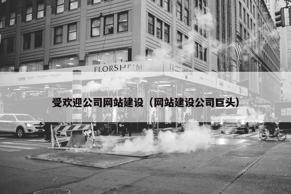 受欢迎公司网站建设（网站建设公司巨头）