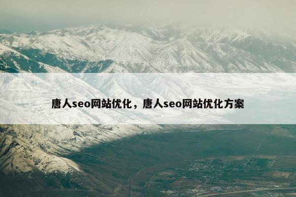 唐人seo网站优化，唐人seo网站优化方案
