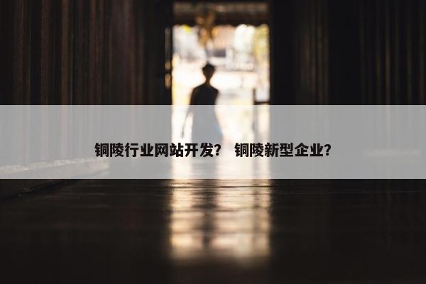 铜陵行业网站开发？ 铜陵新型企业？