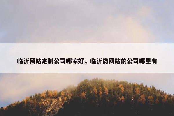 临沂网站定制公司哪家好，临沂做网站的公司哪里有