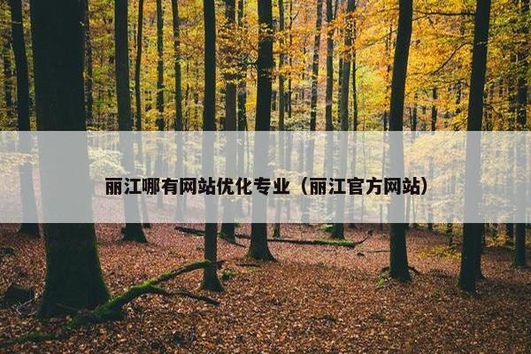 丽江哪有网站优化专业（丽江官方网站）