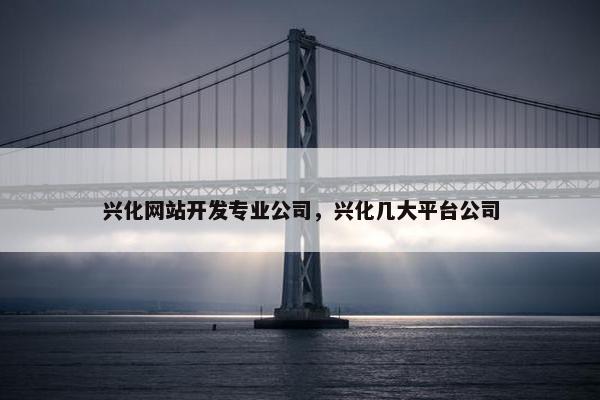 兴化网站开发专业公司，兴化几大平台公司