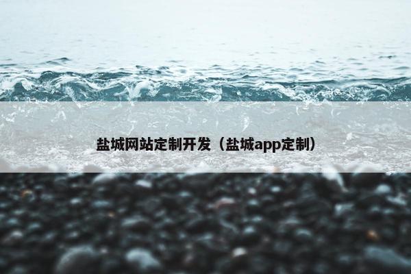 盐城网站定制开发（盐城app定制）
