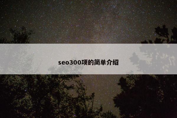 seo300项的简单介绍