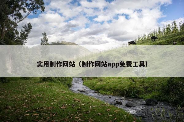 实用制作网站（制作网站app免费工具）