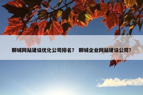 聊城网站建设优化公司排名？ 聊城企业网站建设公司？