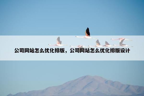 公司网站怎么优化排版，公司网站怎么优化排版设计