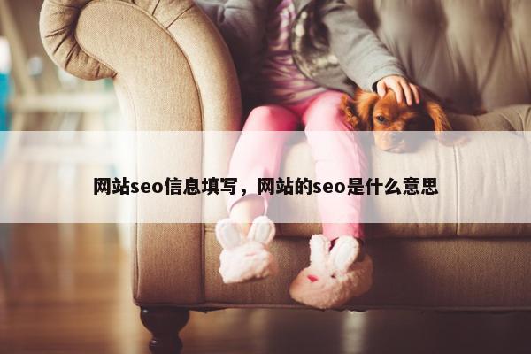 网站seo信息填写，网站的seo是什么意思