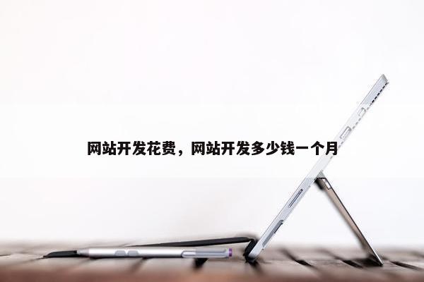 网站开发花费，网站开发多少钱一个月