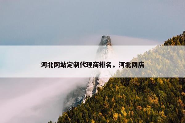 河北网站定制代理商排名，河北网店