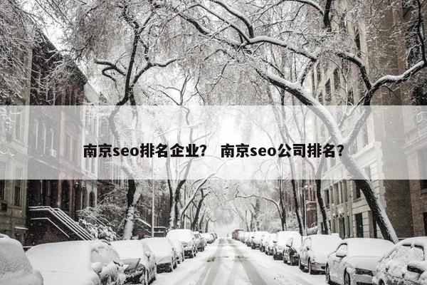 南京seo排名企业？ 南京seo公司排名？
