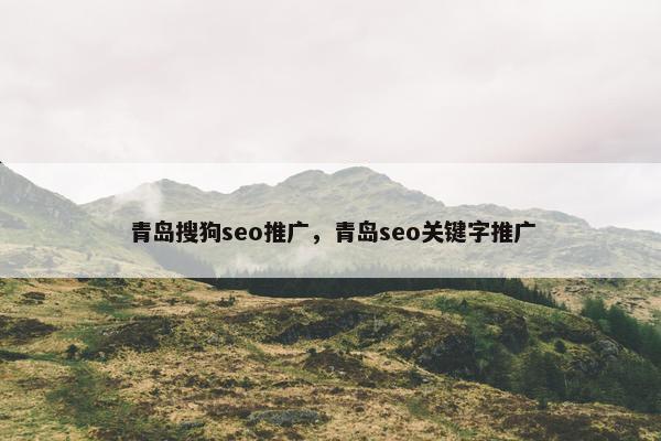 青岛搜狗seo推广，青岛seo关键字推广