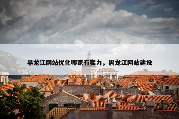 黑龙江网站优化哪家有实力，黑龙江网站建设