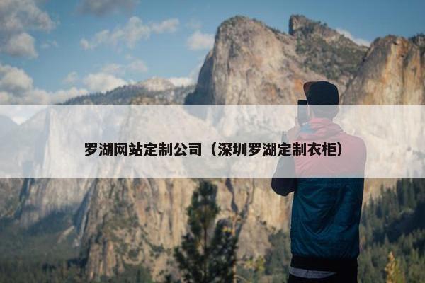 罗湖网站定制公司（深圳罗湖定制衣柜）