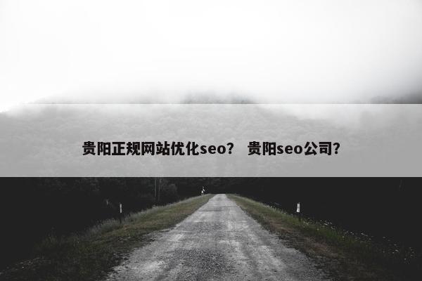 贵阳正规网站优化seo？ 贵阳seo公司？