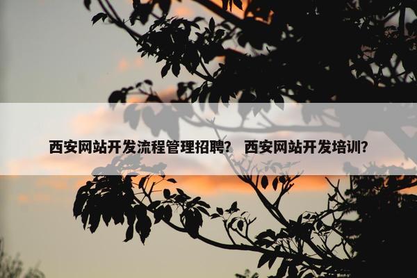 西安网站开发流程管理招聘？ 西安网站开发培训？