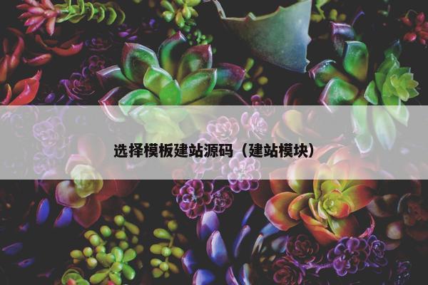 选择模板建站源码（建站模块）