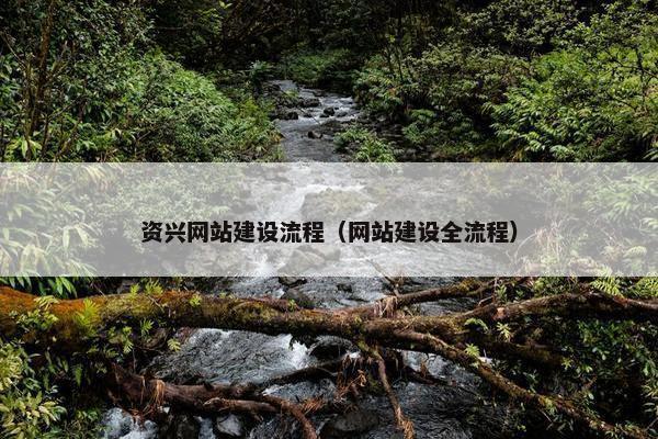 资兴网站建设流程（网站建设全流程）