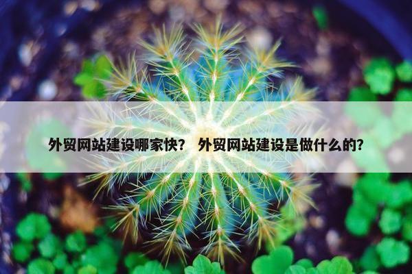 外贸网站建设哪家快？ 外贸网站建设是做什么的？